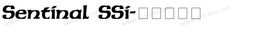 Sentinal SSi字体转换